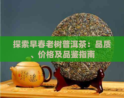 探索早春老树普洱茶：品质、价格及品鉴指南