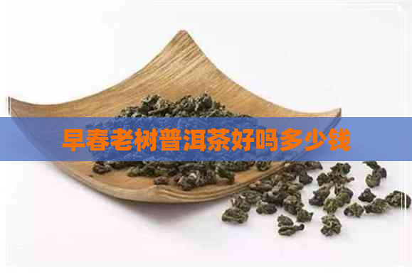 早春老树普洱茶好吗多少钱