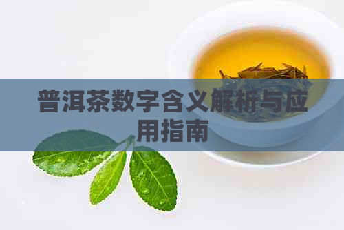 普洱茶数字含义解析与应用指南