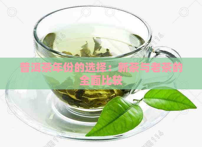 普洱茶年份的选择：新茶与老茶的全面比较