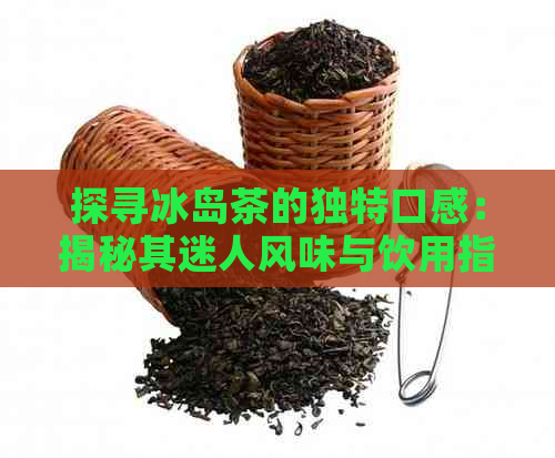 探寻冰岛茶的独特口感：揭秘其迷人风味与饮用指南