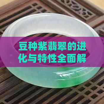 豆种紫翡翠的进化与特性全面解析