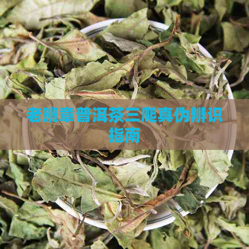 老班章普洱茶三爬真伪辨识指南