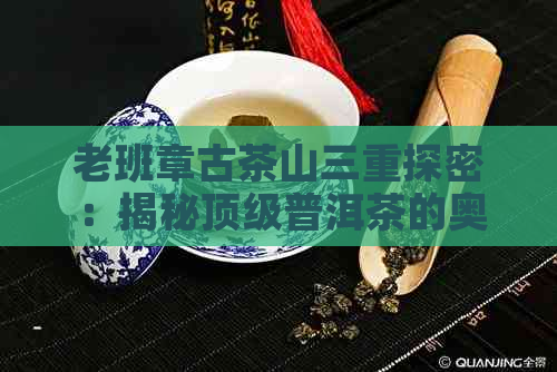 老班章古茶山三重探密：揭秘顶级普洱茶的奥秘与品饮指南