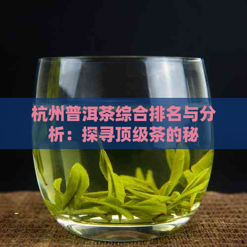 杭州普洱茶综合排名与分析：探寻顶级茶的秘