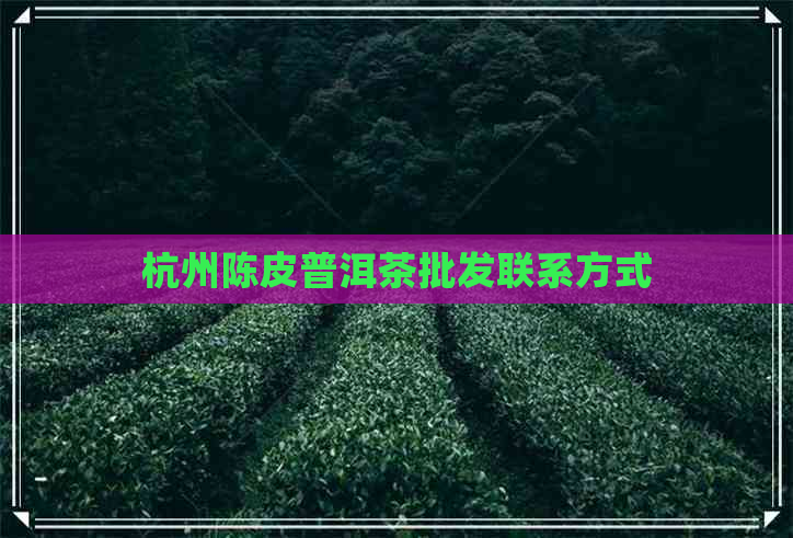 杭州陈皮普洱茶批发联系方式