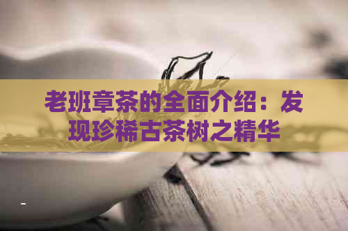 老班章茶的全面介绍：发现珍稀古茶树之精华