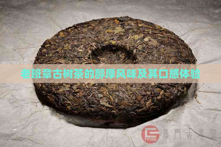 老班章古树茶的醇厚风味及其口感体验