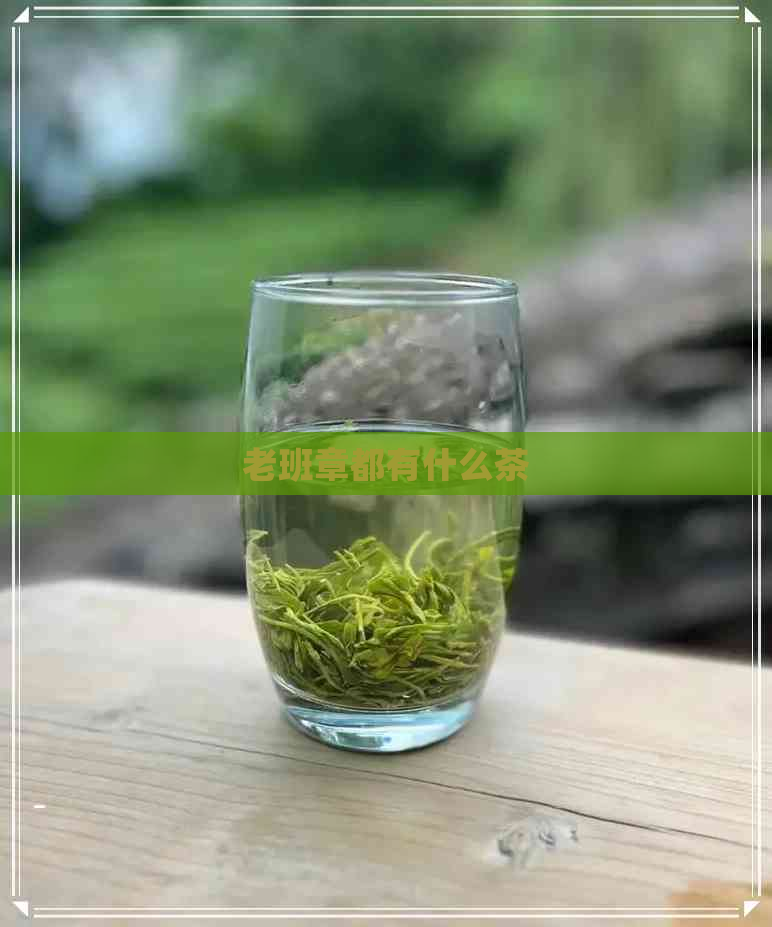 老班章都有什么茶