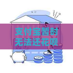 支付宝暂时无法还花呗怎么办