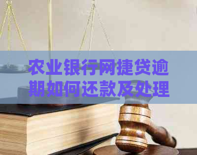 农业银行网捷贷逾期如何还款及处理方法