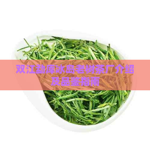 双江勐库冰岛老树茶厂介绍及品鉴指南