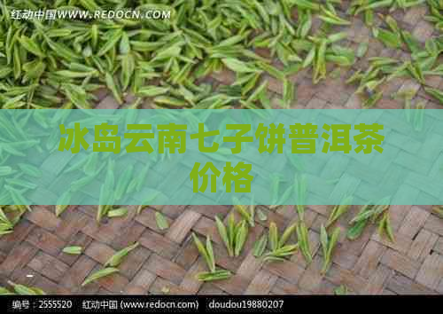 冰岛云南七子饼普洱茶价格