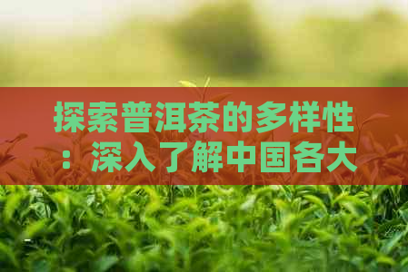 探索普洱茶的多样性：深入了解中国各大茶区的特色和魅力