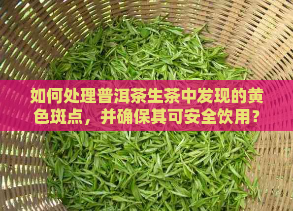 如何处理普洱茶生茶中发现的黄色斑点，并确保其可安全饮用？