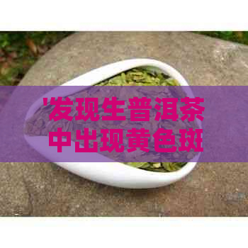 '发现生普洱茶中出现黄色斑点，这究竟意味着什么？'