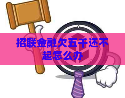 招联金融欠五千还不起怎么办