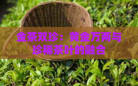 金茶双珍：黄金万两与珍稀茶叶的融合