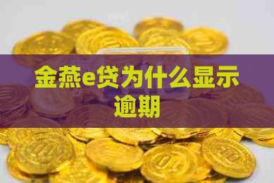 金燕e贷为什么显示逾期