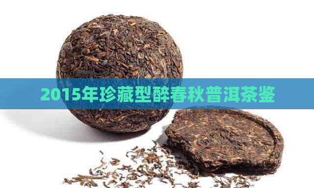 2015年珍藏型醉春秋普洱茶鉴