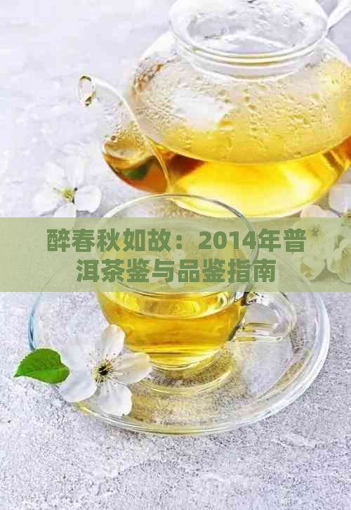 醉春秋如故：2014年普洱茶鉴与品鉴指南