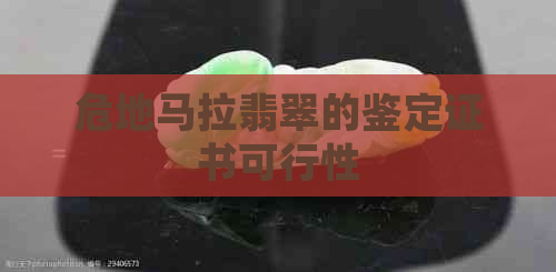 危地马拉翡翠的鉴定证书可行性