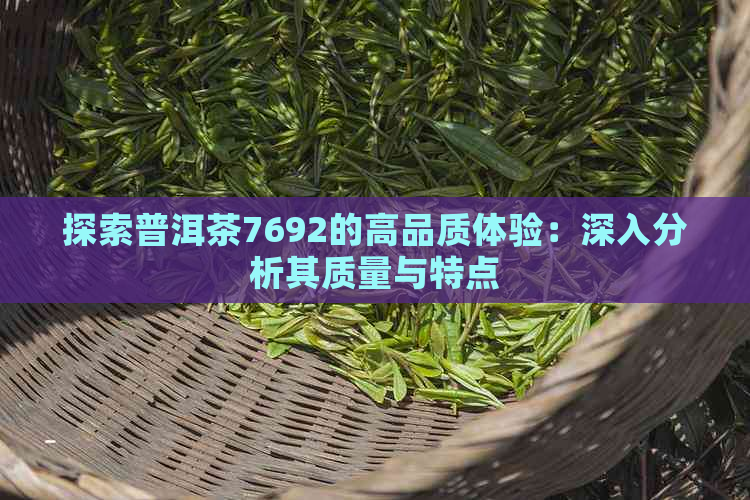 探索普洱茶7692的高品质体验：深入分析其质量与特点