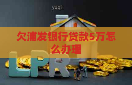 欠浦发银行贷款5万怎么办理