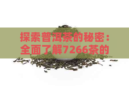 探索普洱茶的秘密：全面了解7266茶的品鉴、保存和选购指南