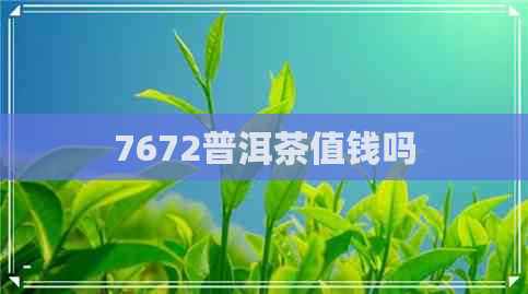 7672普洱茶值钱吗