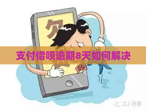 支付借呗逾期8天如何解决