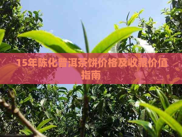 15年陈化普洱茶饼价格及收藏价值指南