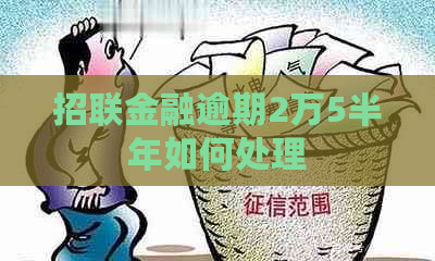 招联金融逾期2万5半年如何处理