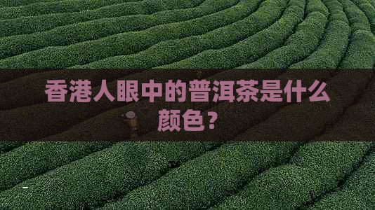 人眼中的普洱茶是什么颜色？