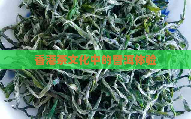 茶文化中的普洱体验