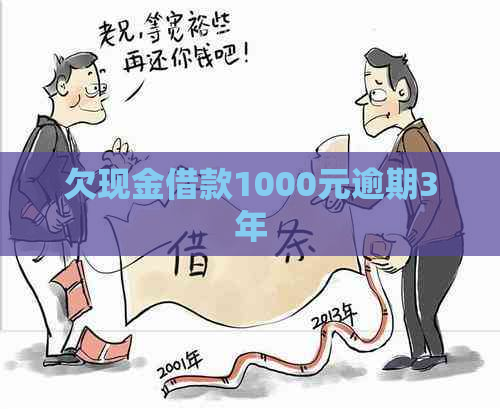 欠现金借款1000元逾期3年