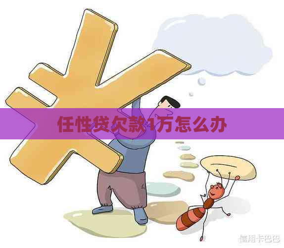 任性贷欠款1万怎么办