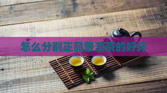 怎么分别正品普洱茶的好坏