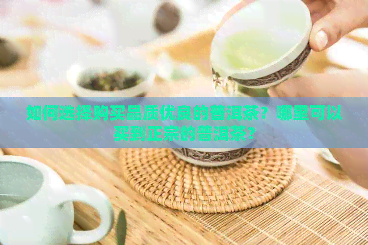 如何选择购买品质优良的普洱茶？哪里可以买到正宗的普洱茶？