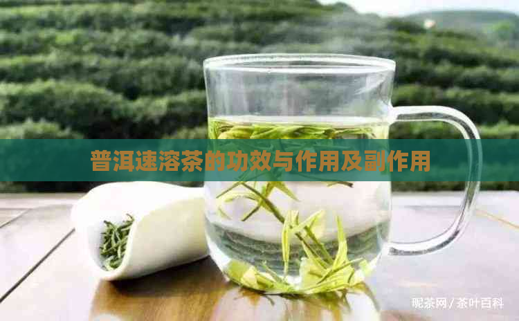 普洱速溶茶的功效与作用及副作用