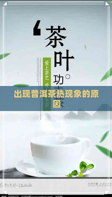 出现普洱茶热现象的原因