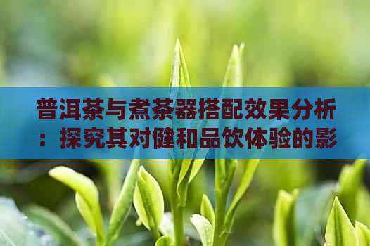 普洱茶与煮茶器搭配效果分析：探究其对健和品饮体验的影响