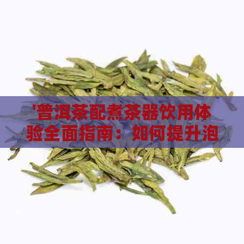 '普洱茶配煮茶器饮用体验全面指南：如何提升泡茶乐趣与品质？'