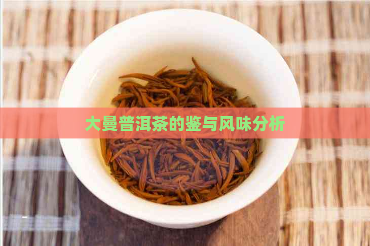 大曼普洱茶的鉴与风味分析