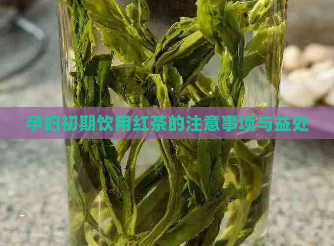 孕妇初期饮用红茶的注意事项与益处