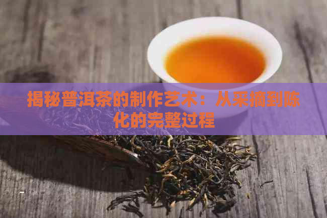 揭秘普洱茶的制作艺术：从采摘到陈化的完整过程