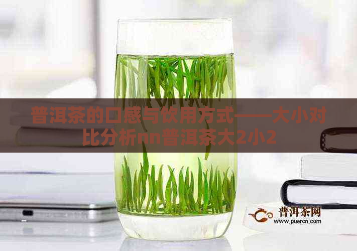 普洱茶的口感与饮用方式——大小对比分析nn普洱茶大2小2