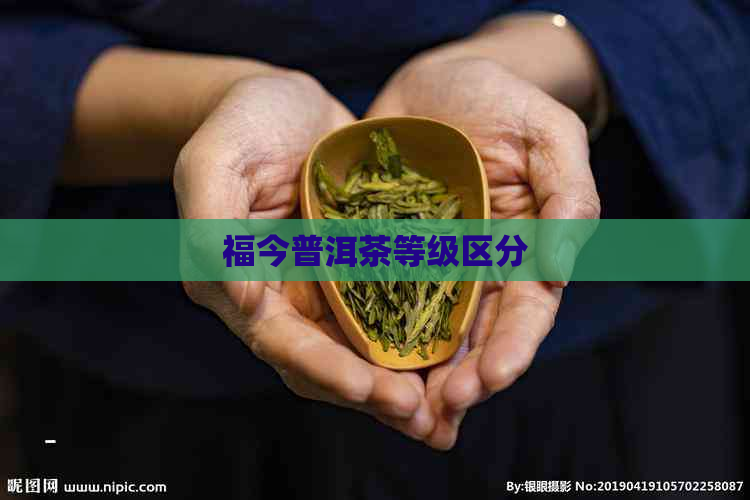 福今普洱茶等级区分