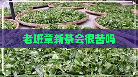 老班章新茶会很苦吗