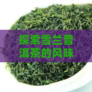 探索雪兰普洱茶的风味与品质：深度评测报告